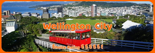 Wellington City