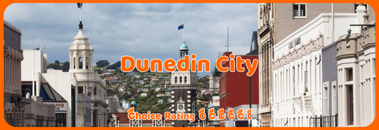 Dunedin City