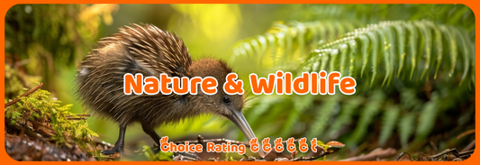 Nature & Wildlife