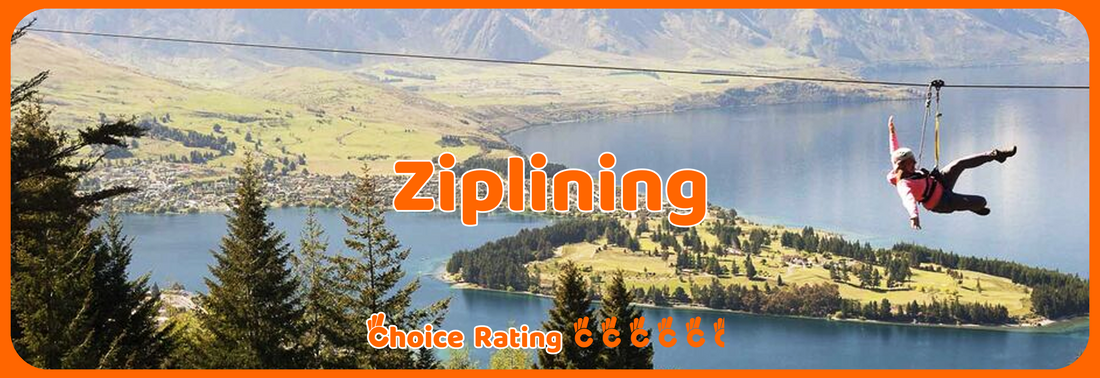 Ziplining